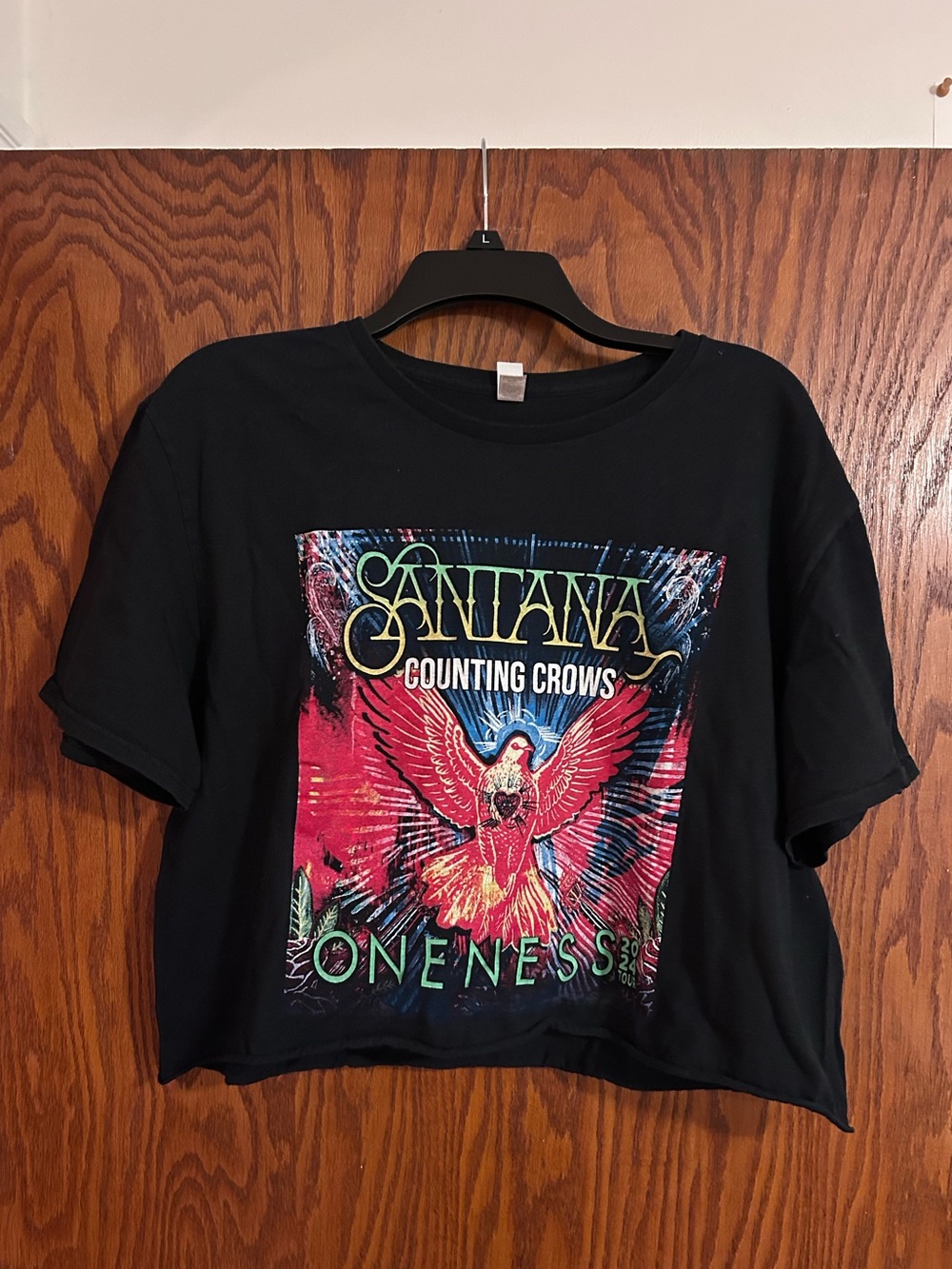 Fruit of the Loom Black Graphic Tee with Multicolor Logo